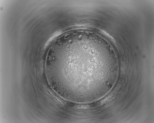 X0000060771411200511141245