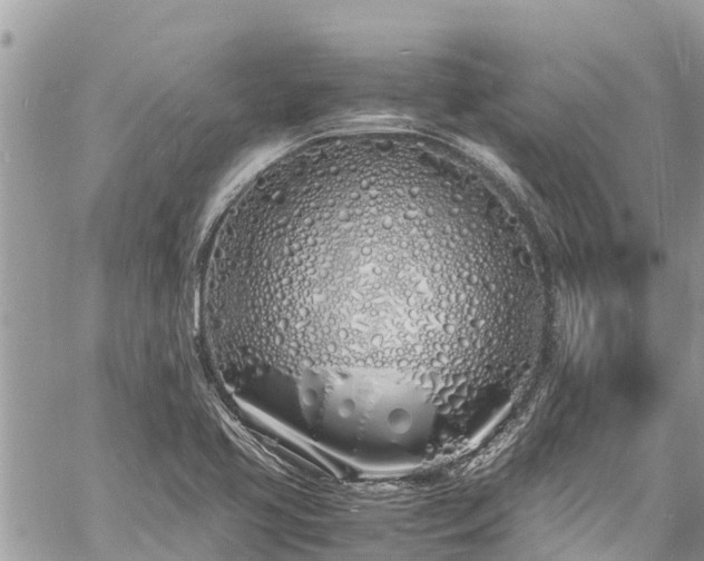 X0000060771413200511141245