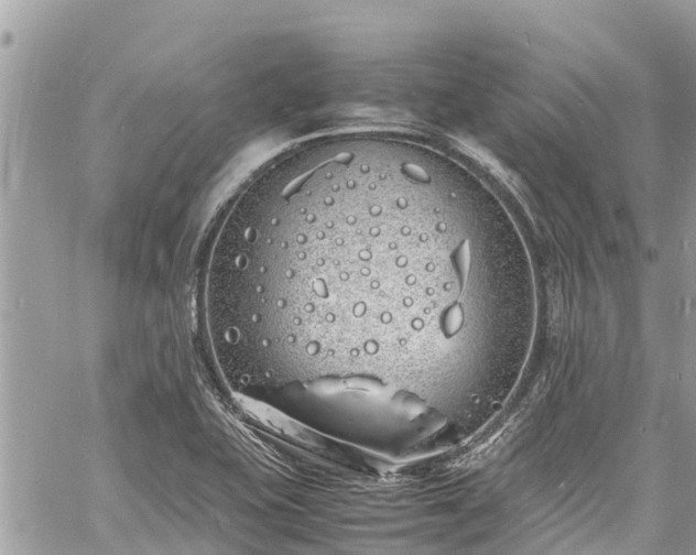 X0000060771415200511141245