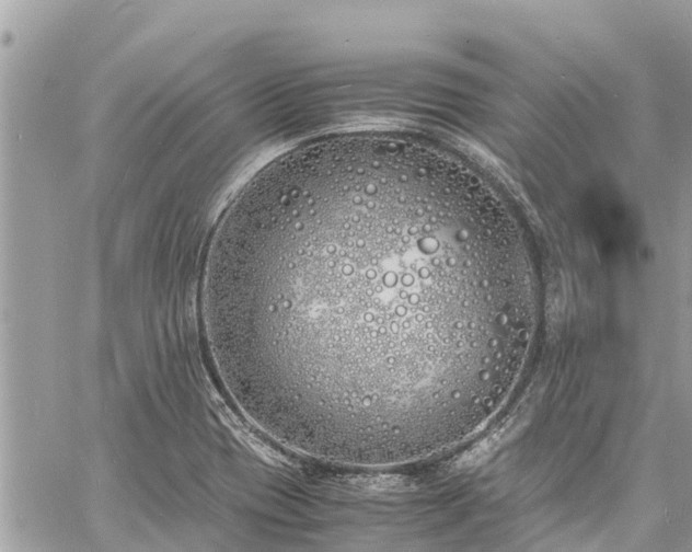 X0000060771417200511141245