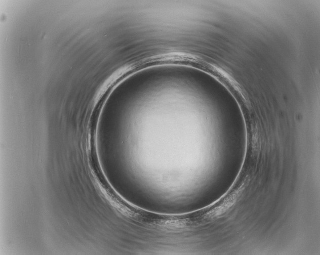 X0000060771418200511141245