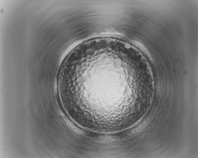 X0000060771420200511141245