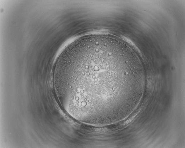 X0000060771421200511141245