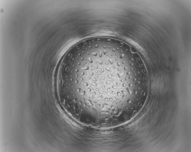 X0000060771423200511141245