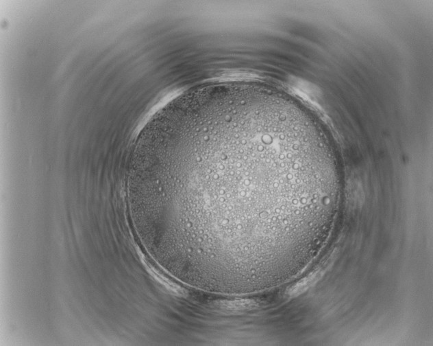 X0000060771425200511141245