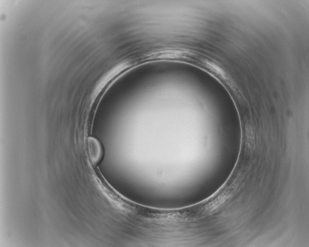 X0000060771426200511141245