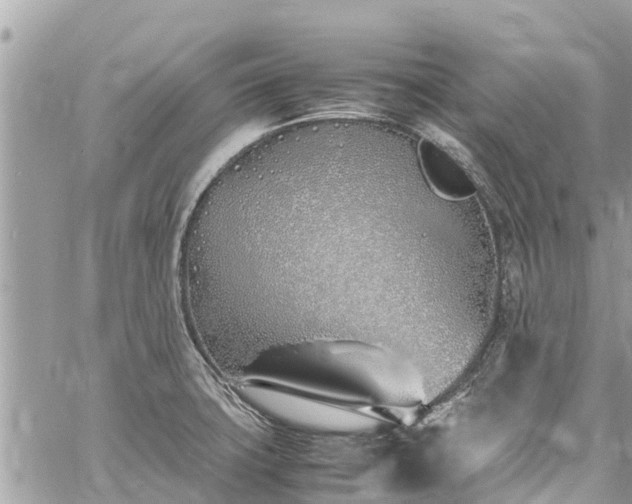 X0000060771427200511141245