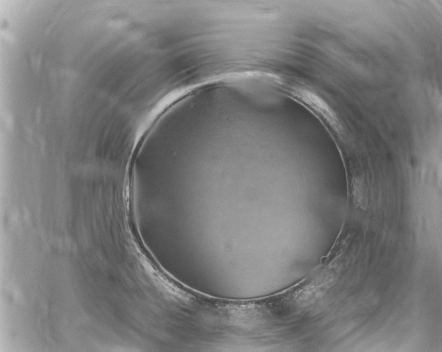 X0000060771428200511141245