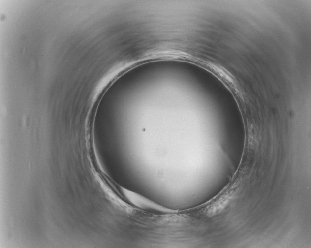 X0000060771430200511141245