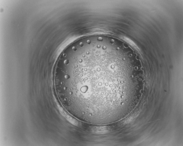 X0000060771431200511141246