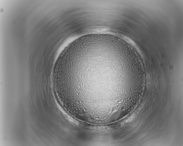 X0000060771432200511141246