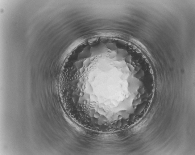 X0000060771433200511141246