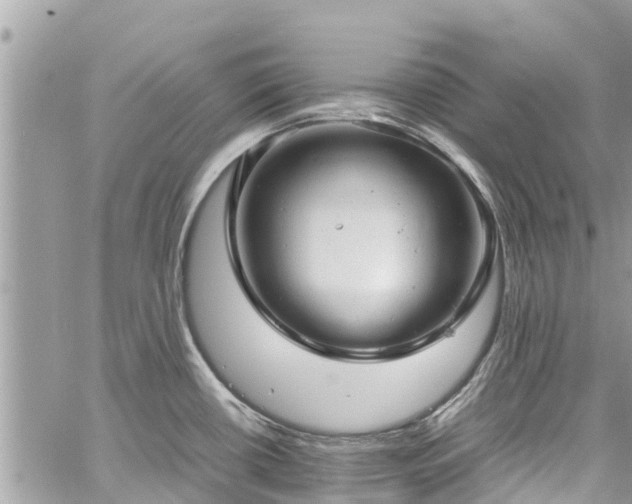 X0000060771434200511141246