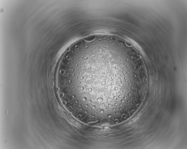 X0000060771435200511141246