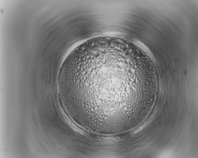 X0000060771436200511141246