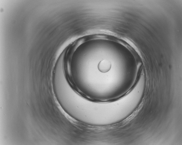 X0000060771438200511141246