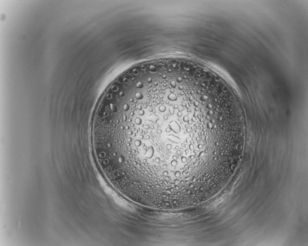 X0000060771439200511141246