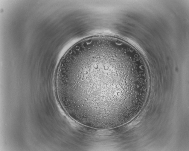 X0000060771440200511141246