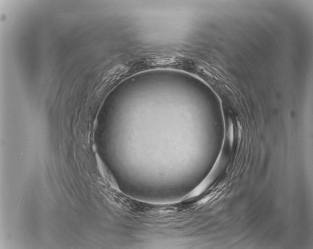 X0000060771441200511141245