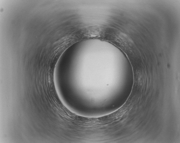 X0000060771442200511141245