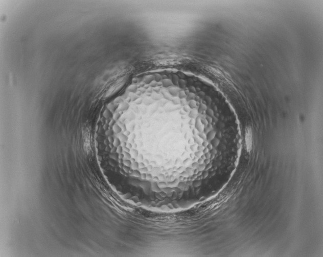 X0000060771444200511141245