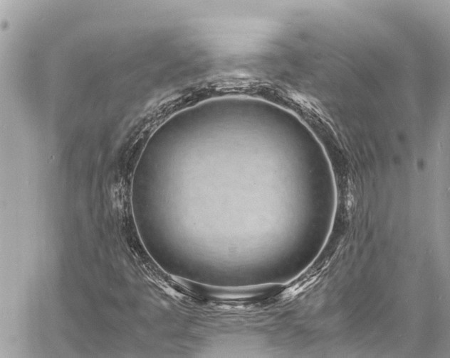 X0000060771445200511141245