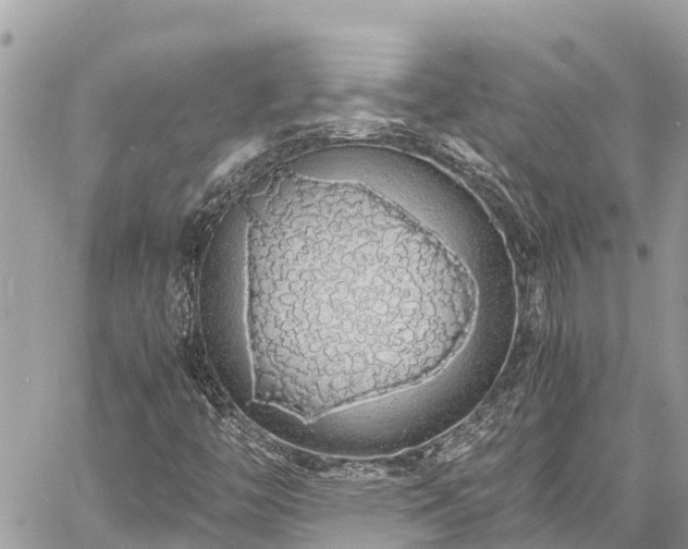 X0000060771446200511141245