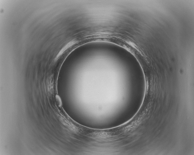 X0000060771450200511141245