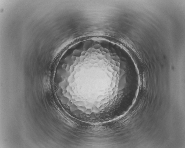 X0000060771452200511141245