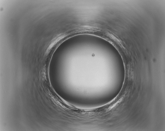 X0000060771453200511141245