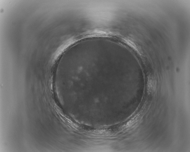 X0000060771455200511141245