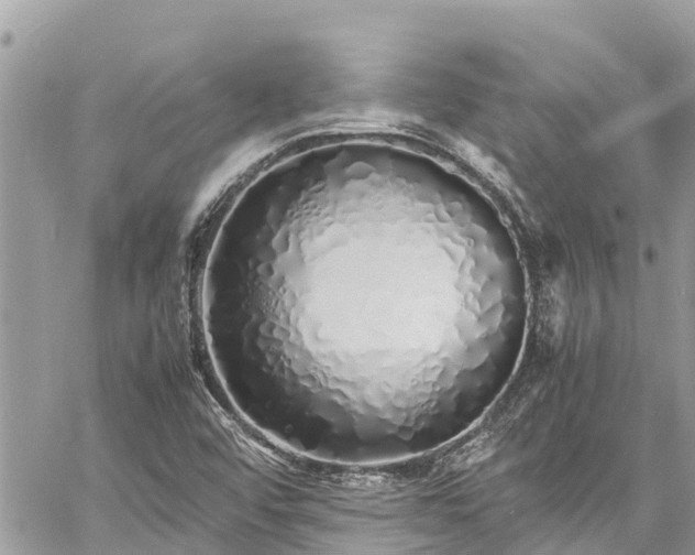 X0000060771456200511141245