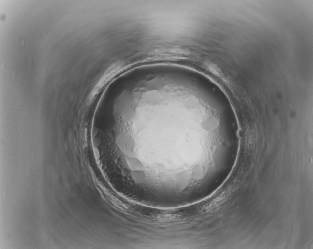 X0000060771459200511141245