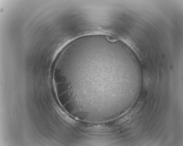 X0000060771460200511141245