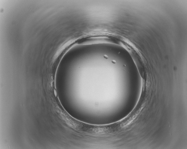 X0000060771461200511141245