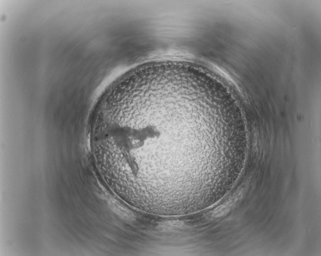 X0000060771462200511141244