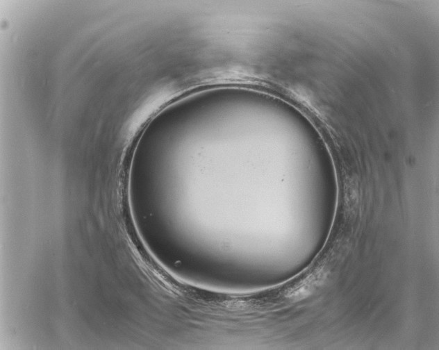 X0000060771463200511141244