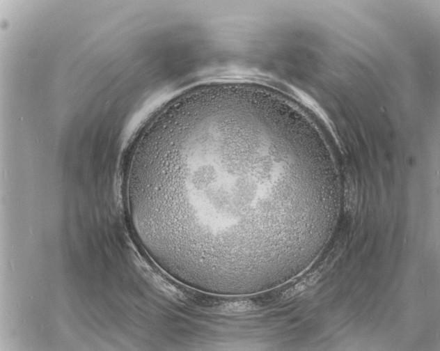 X0000060771464200511141244