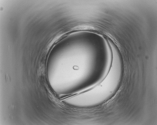 X0000060771465200511141244