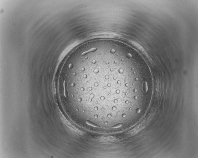 X0000060771466200511141244