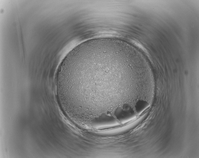 X0000060771467200511141244