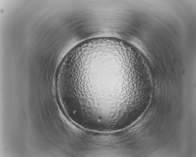 X0000060771468200511141244