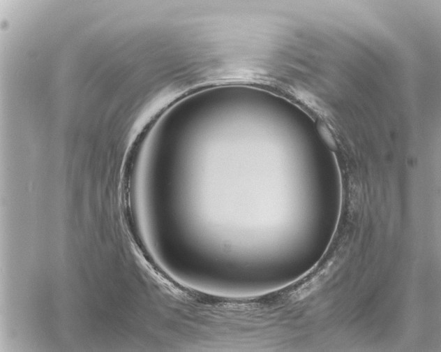 X0000060771469200511141244