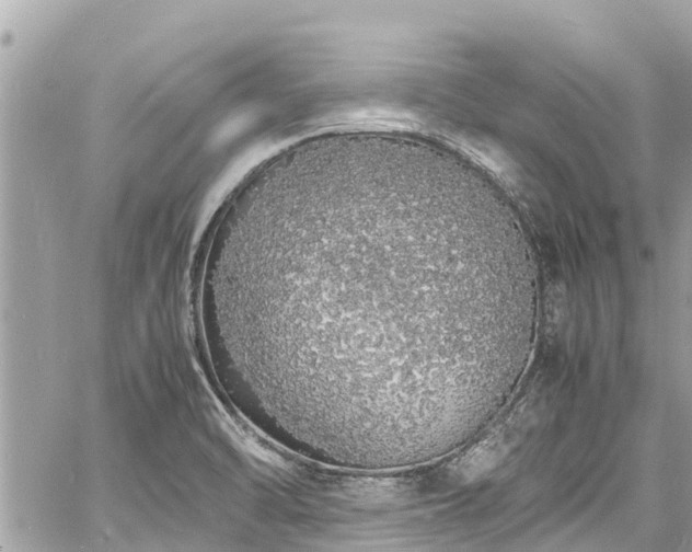 X0000060771470200511141244