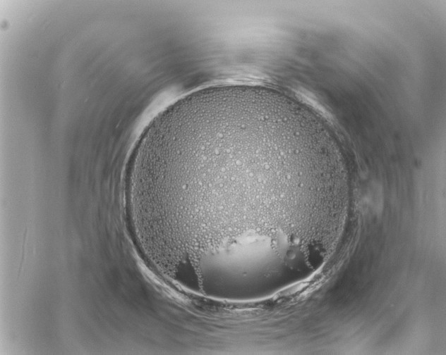 X0000060771471200511141244