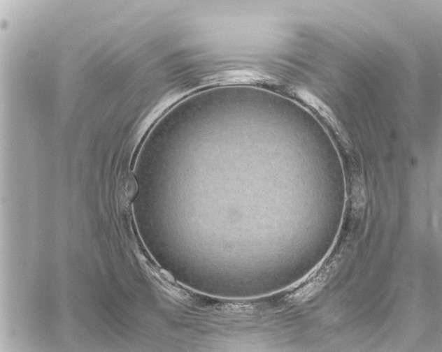 X0000060771473200511141244