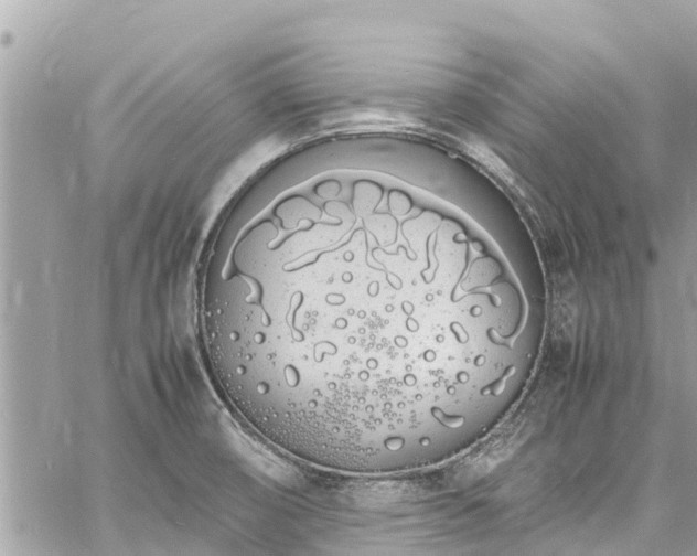 X0000060771474200511141244