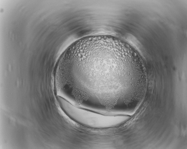 X0000060771476200511141244