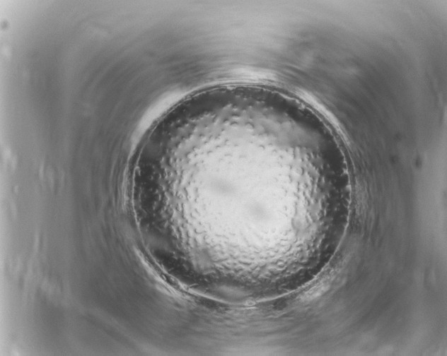 X0000060771477200511141244