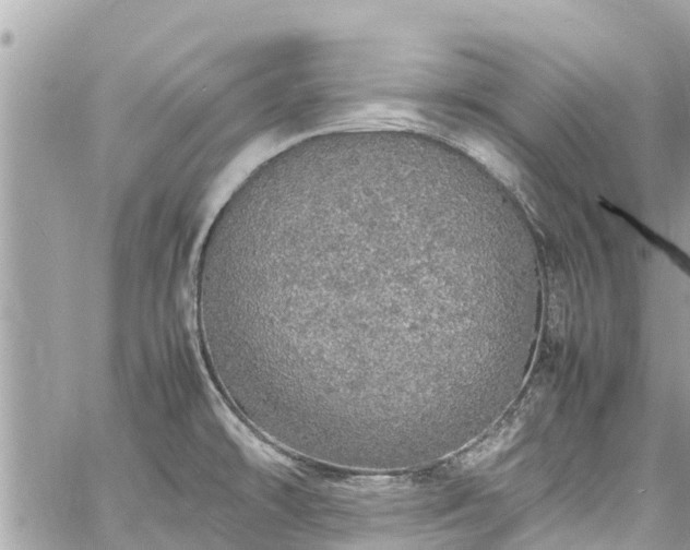 X0000060771478200511141244